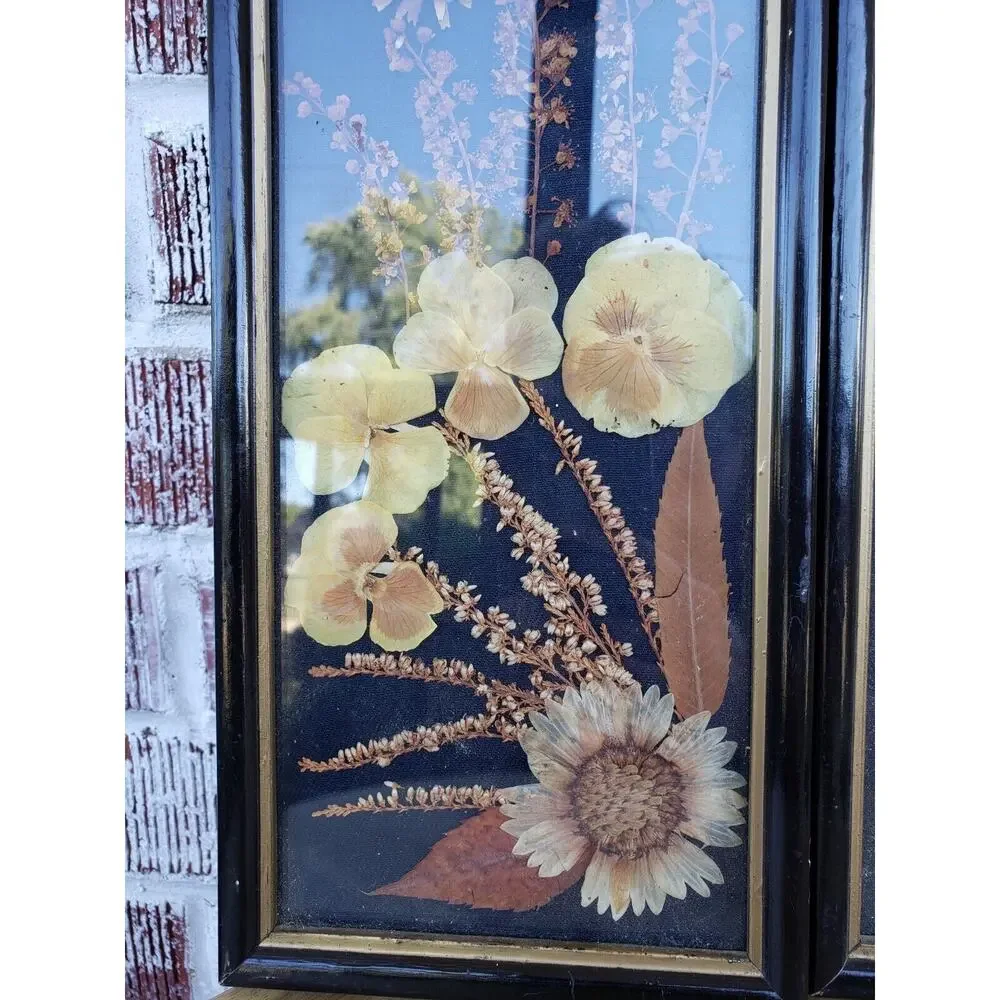 2 ANTIQUE ROCCOCO FRAMED DRIED FLOWER pressed poland victorian‎ oddity wall art